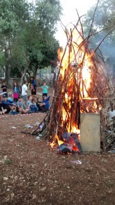 IMG_20160525_190436788